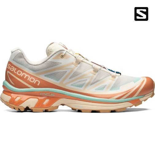 Salomon Xt-6 Skyline Tenisky Damske Viacfarebný | SK 2CDSFQ